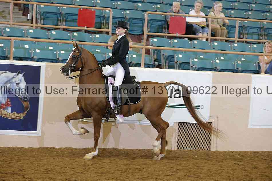 Proof 13yn_09622