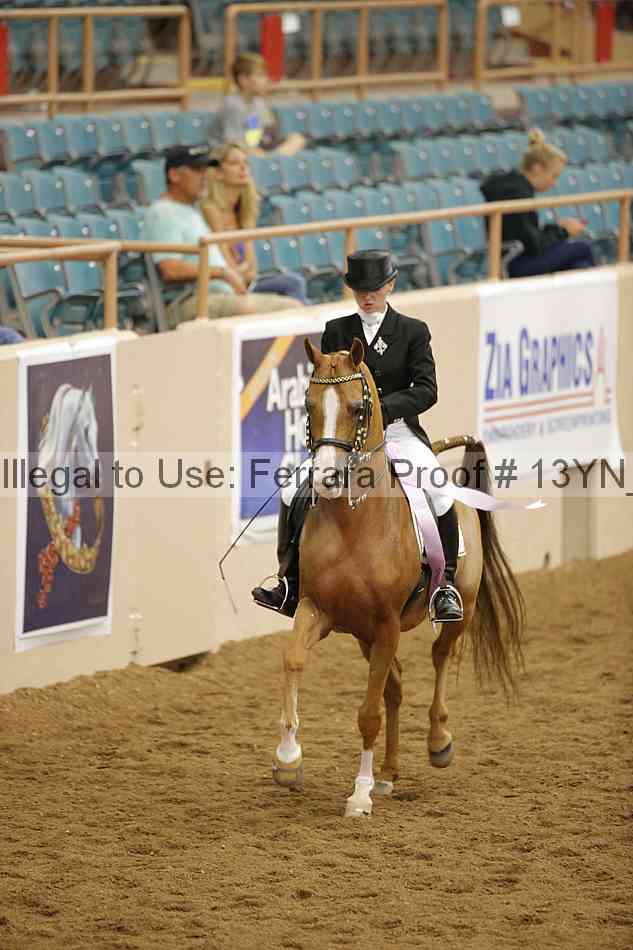 Proof 13yn_09623