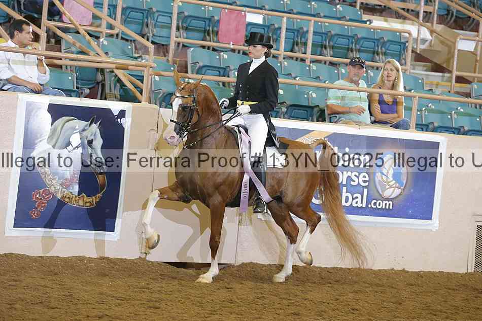 Proof 13yn_09625