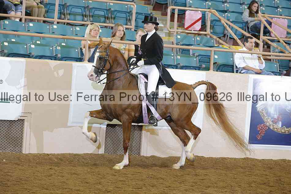 Proof 13yn_09626