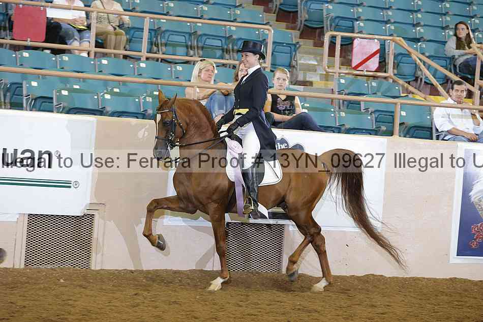 Proof 13yn_09627