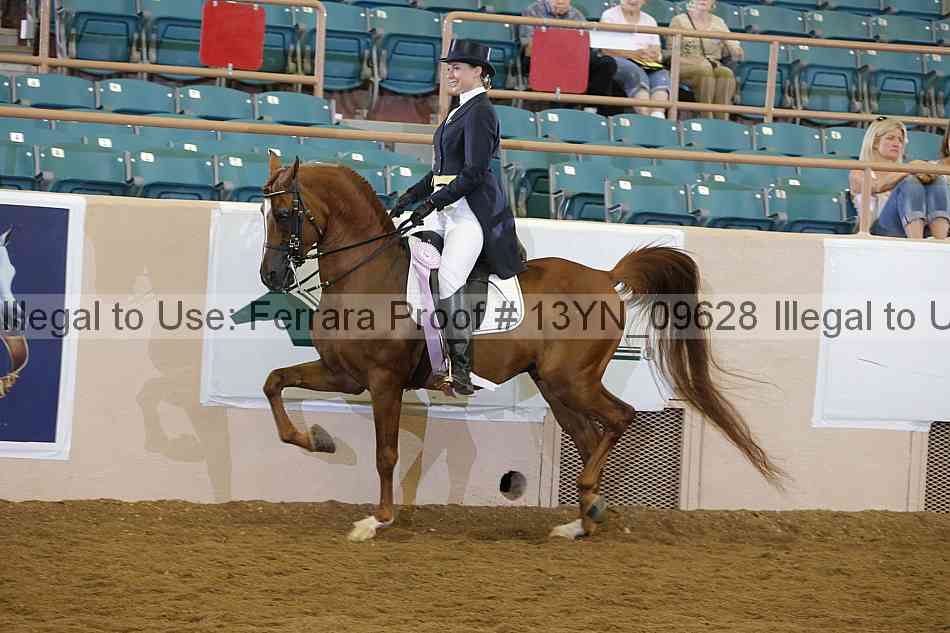 Proof 13yn_09628