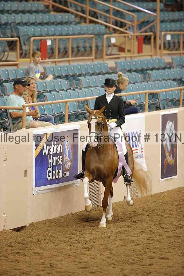 Proof 13yn_09629