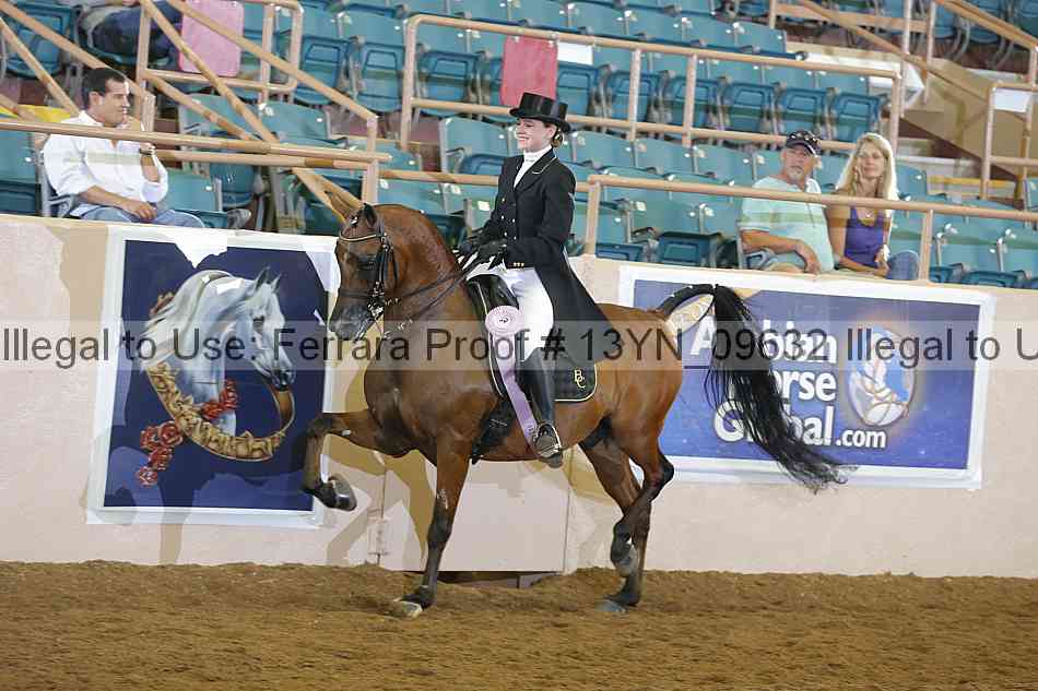 Proof 13yn_09632
