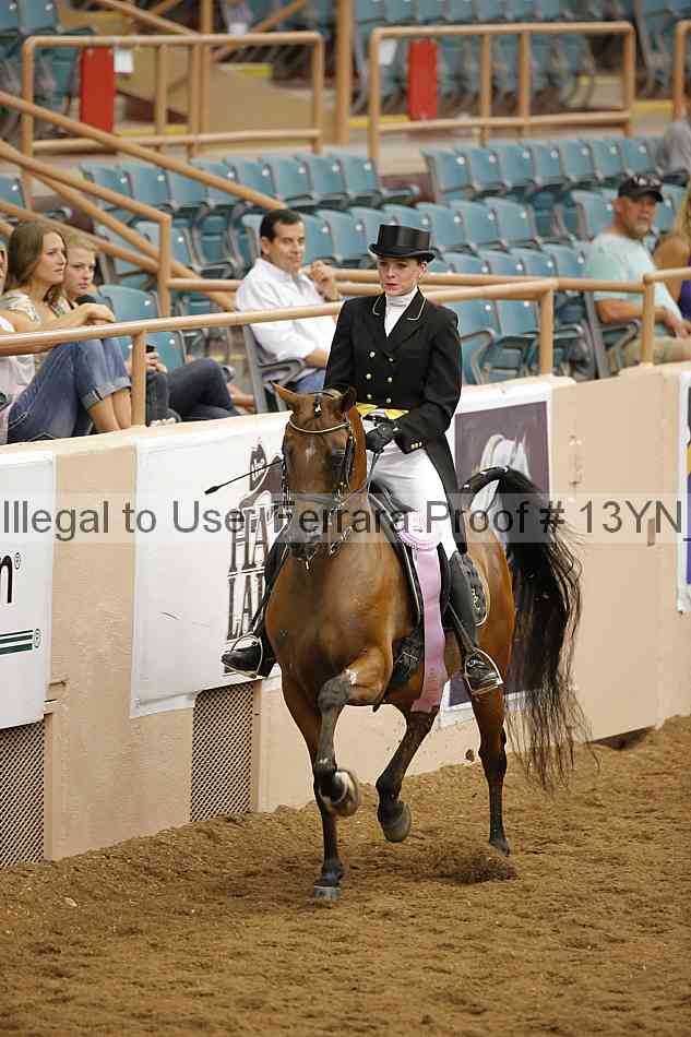 Proof 13yn_09635