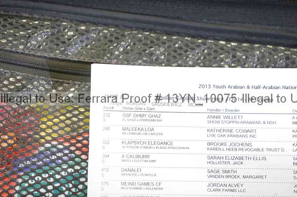Proof 13yn_10075