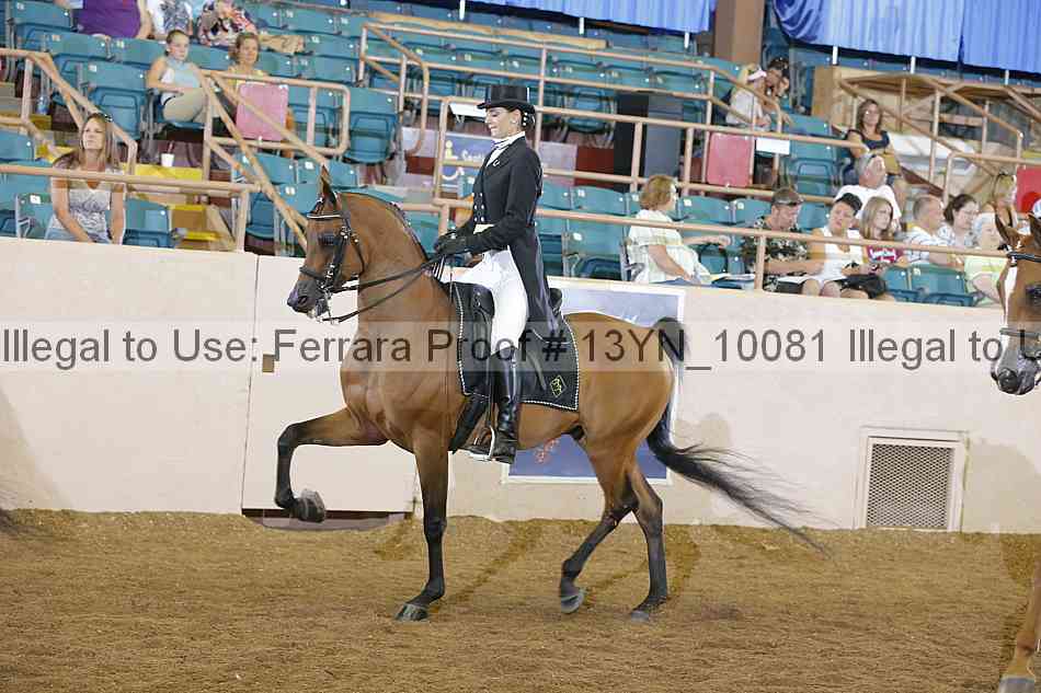 Proof 13yn_10081
