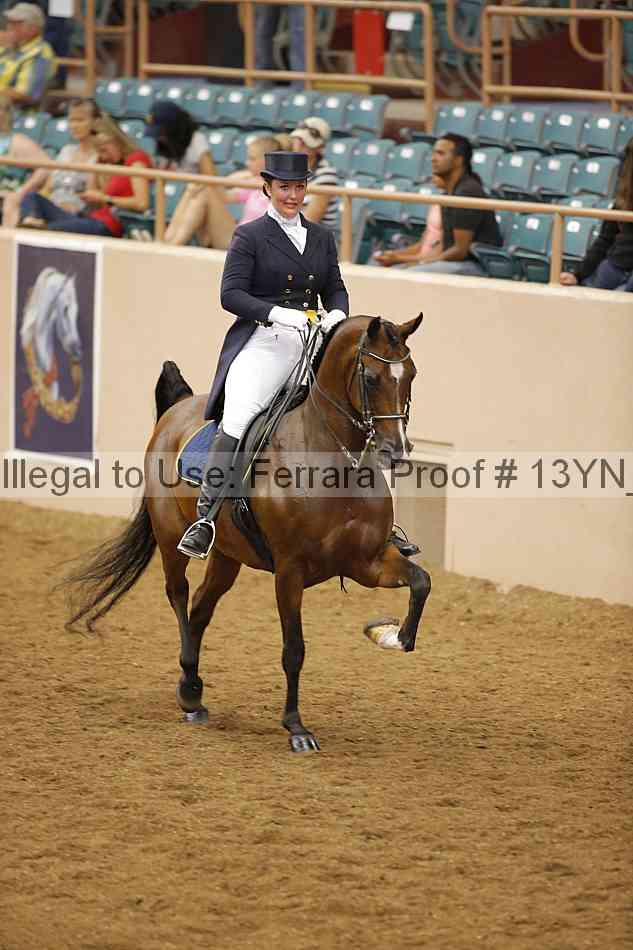 Proof 13yn_10093