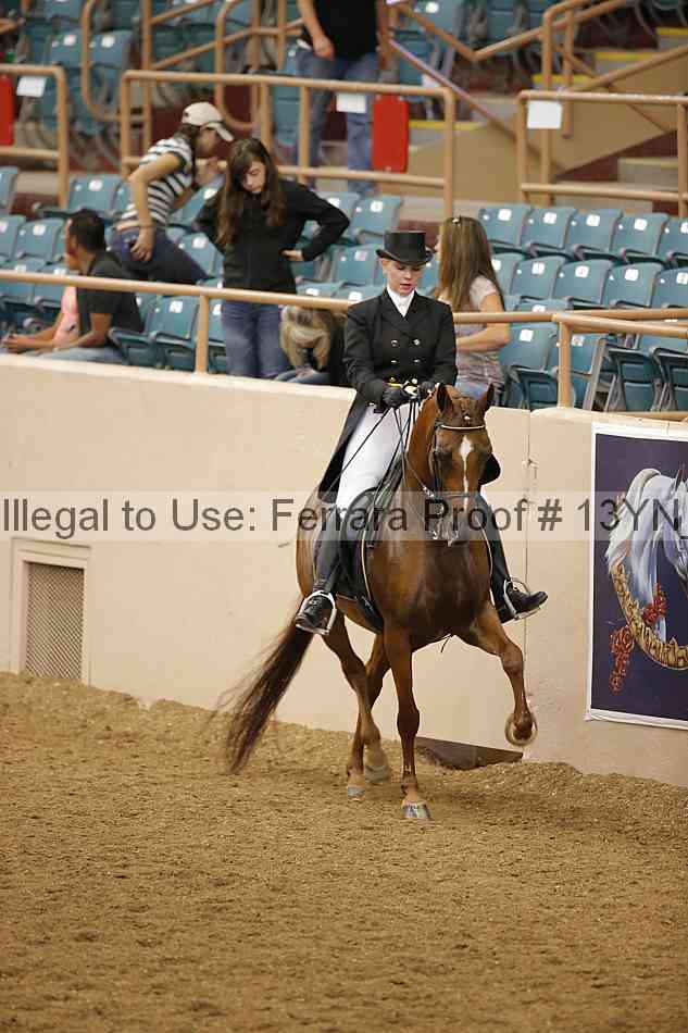 Proof 13yn_10095