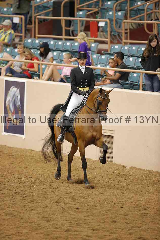 Proof 13yn_10096