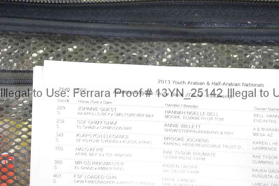 Proof 13yn_25142