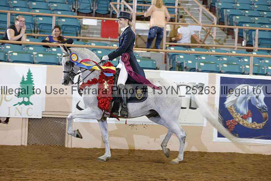 Proof 13yn_25263