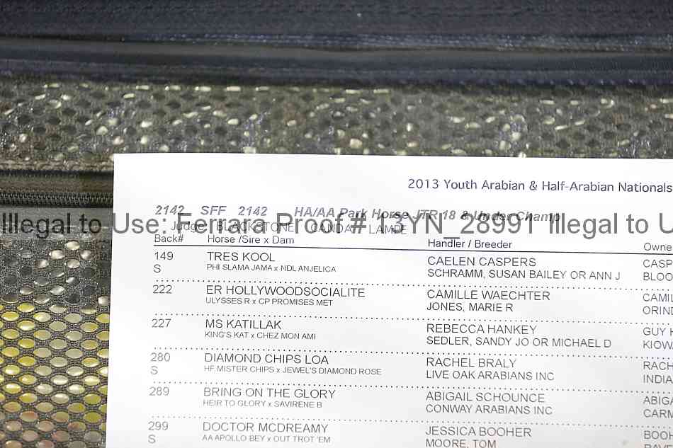Proof 13yn_28991