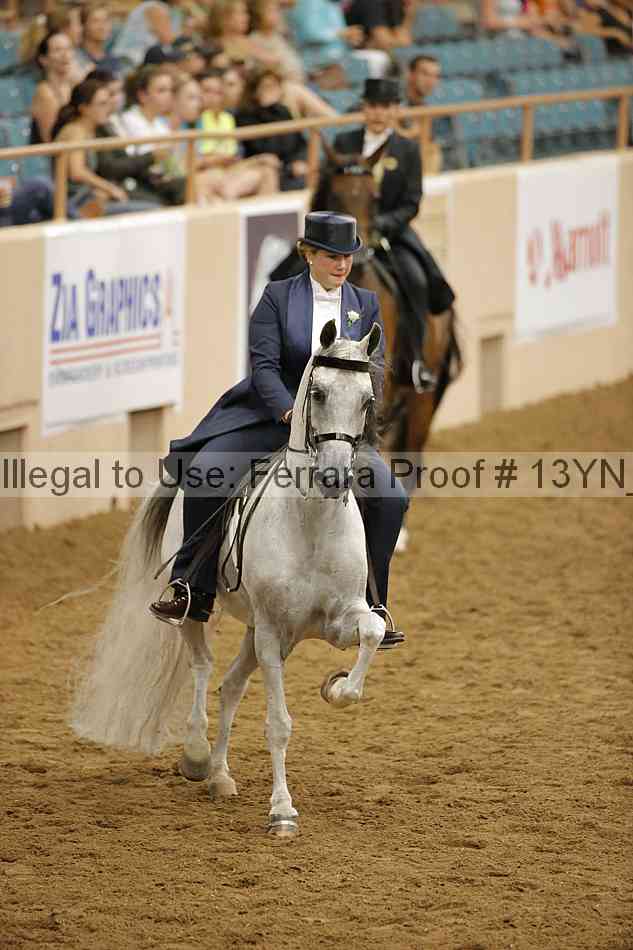 Proof 13yn_29005
