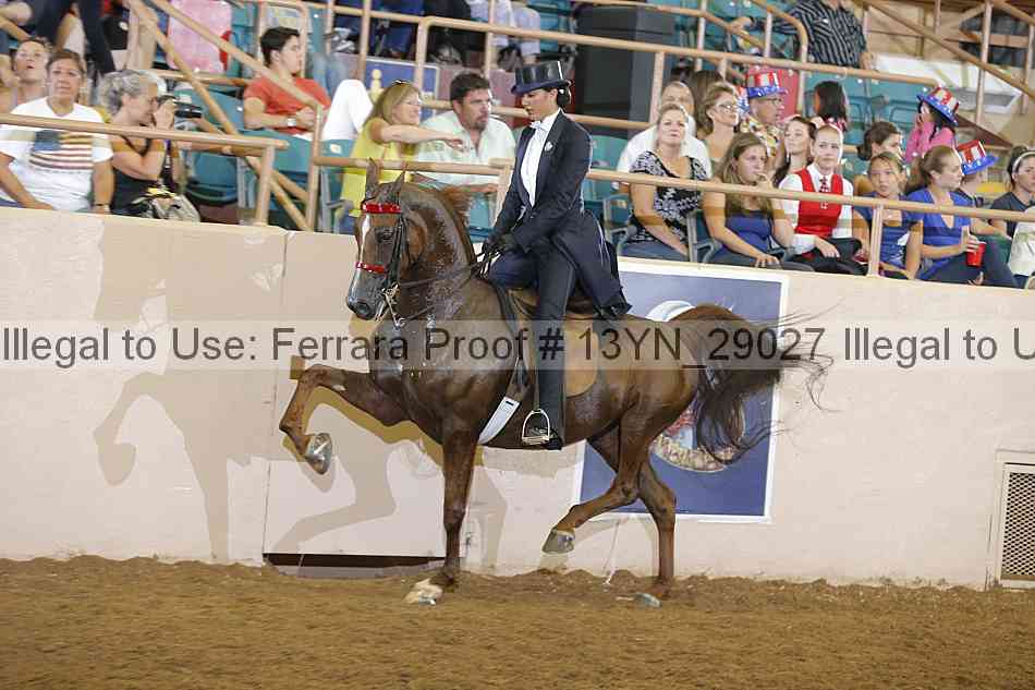 Proof 13yn_29027