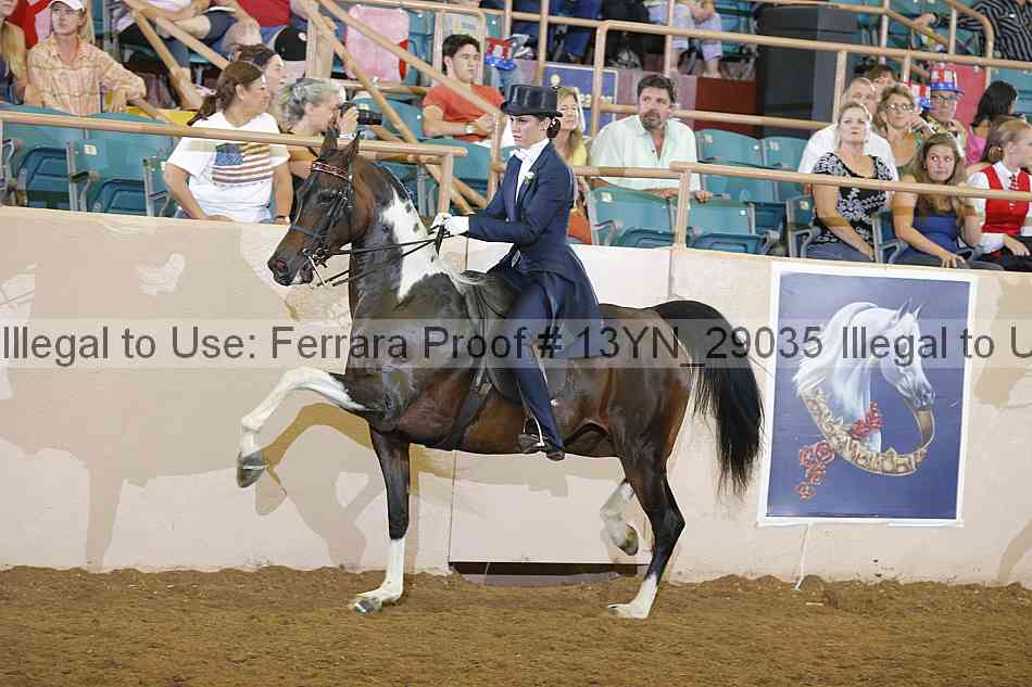 Proof 13yn_29035