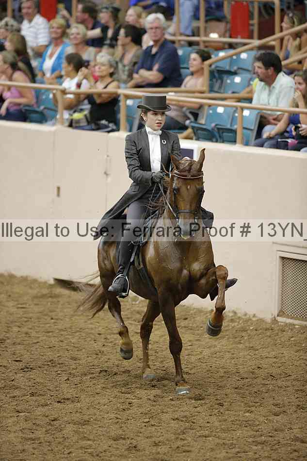 Proof 13yn_29049