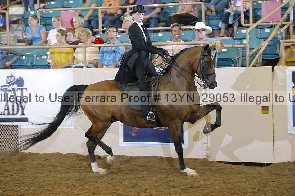 Proof 13yn_29053