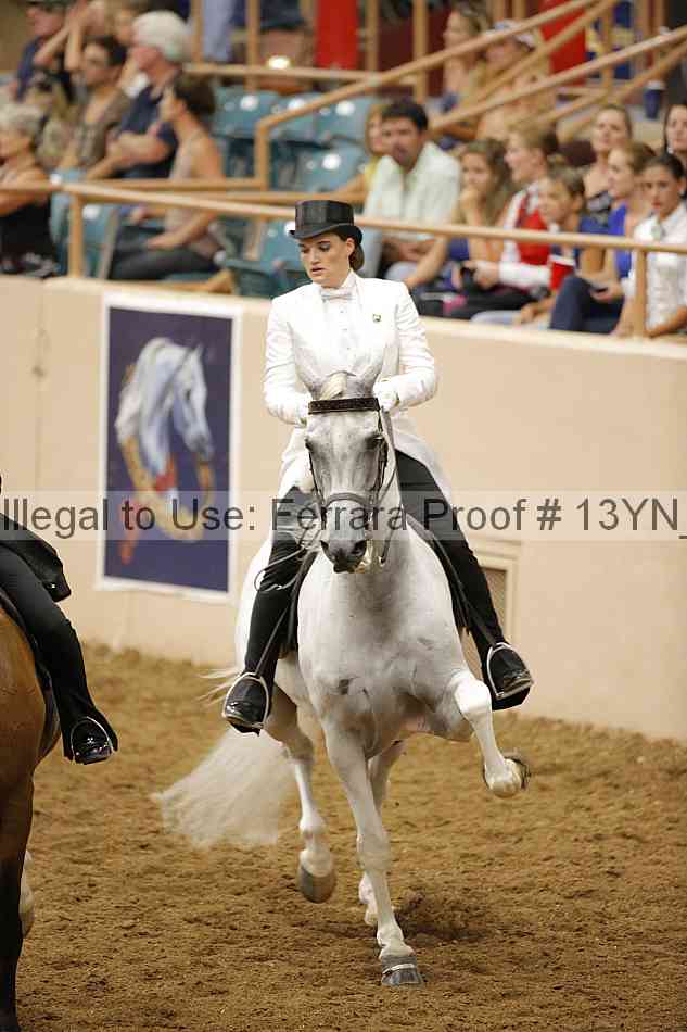Proof 13yn_29054
