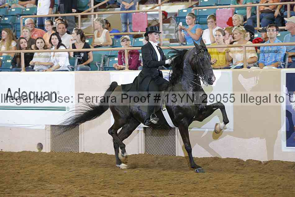 Proof 13yn_29055