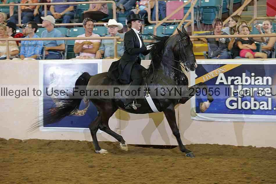 Proof 13yn_29056