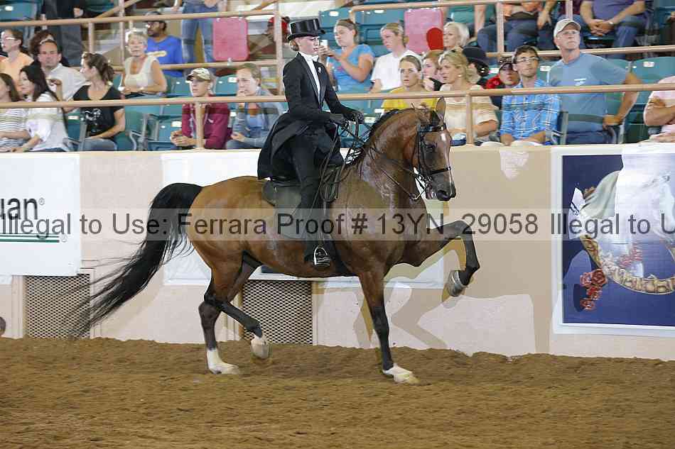 Proof 13yn_29058