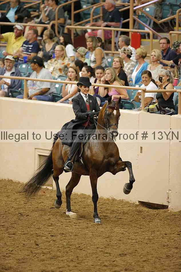 Proof 13yn_29063