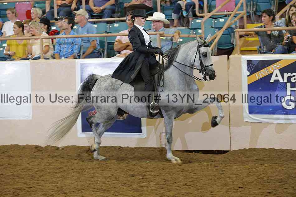 Proof 13yn_29064