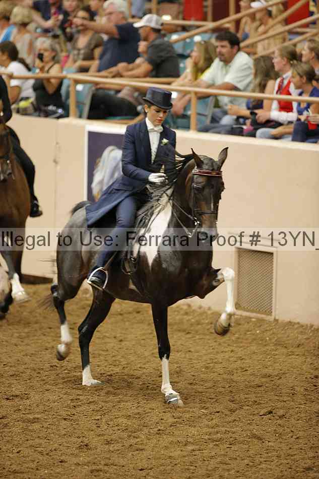 Proof 13yn_29065