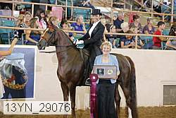 13yn_29076 proof
