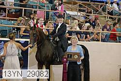 13yn_29082 proof