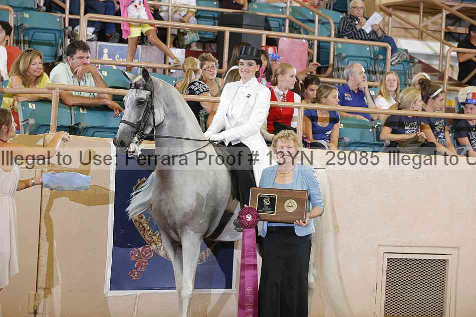 Proof 13yn_29085