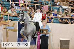13yn_29085 proof