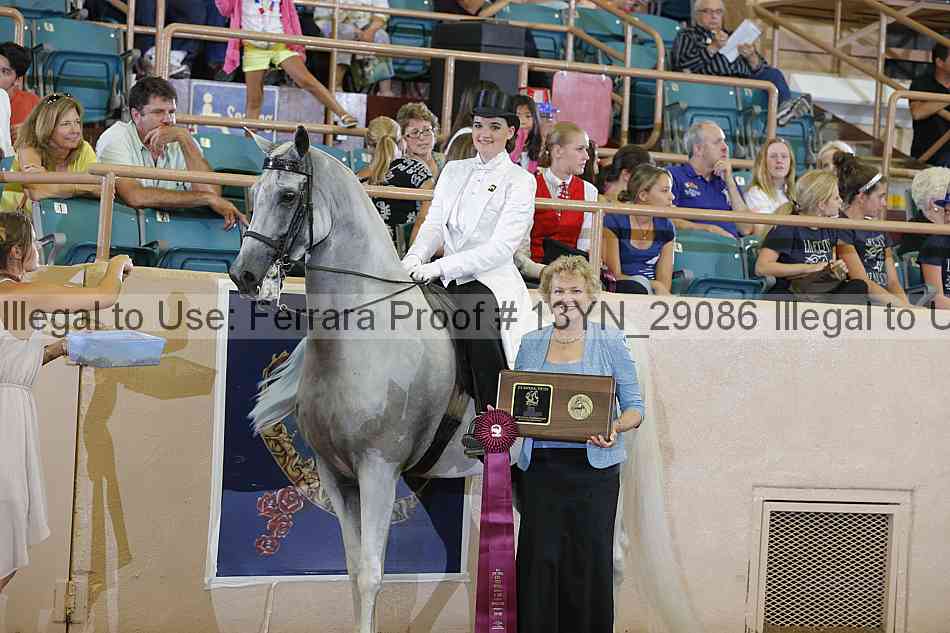 Proof 13yn_29086