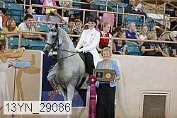 13yn_29086 proof