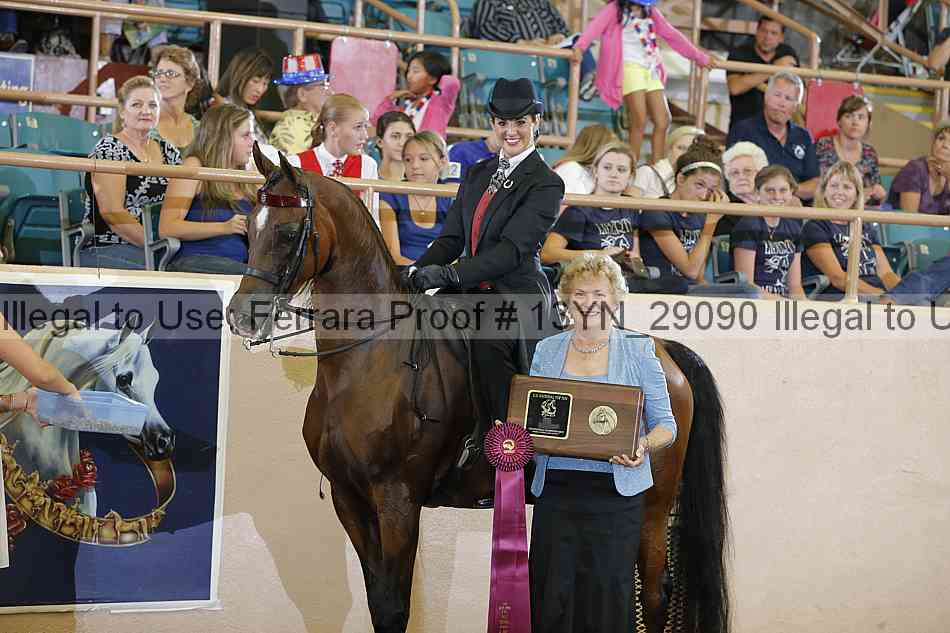 Proof 13yn_29090