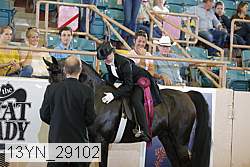 13yn_29102 proof
