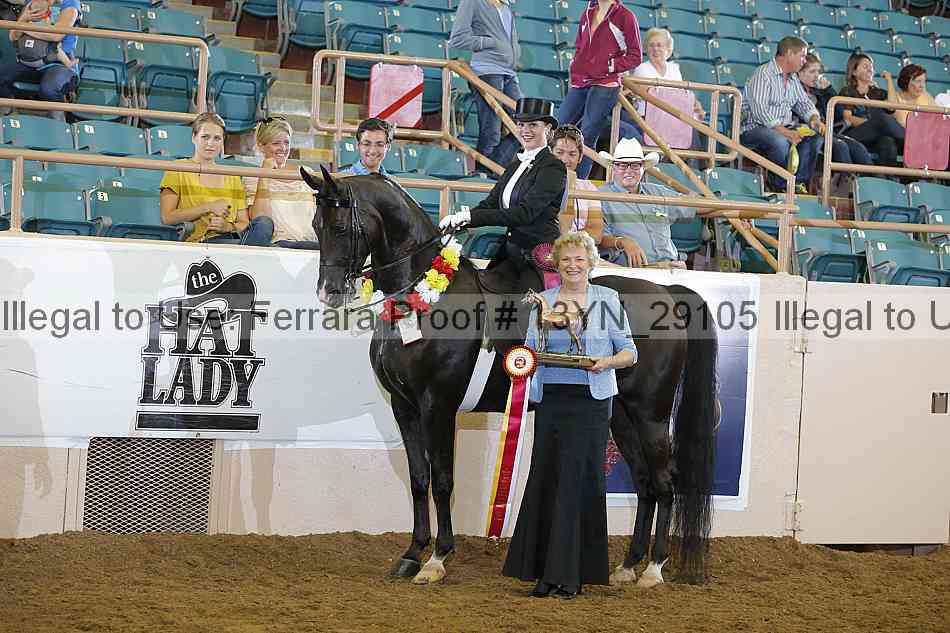 Proof 13yn_29105