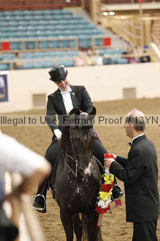 Proof 13yn_29108