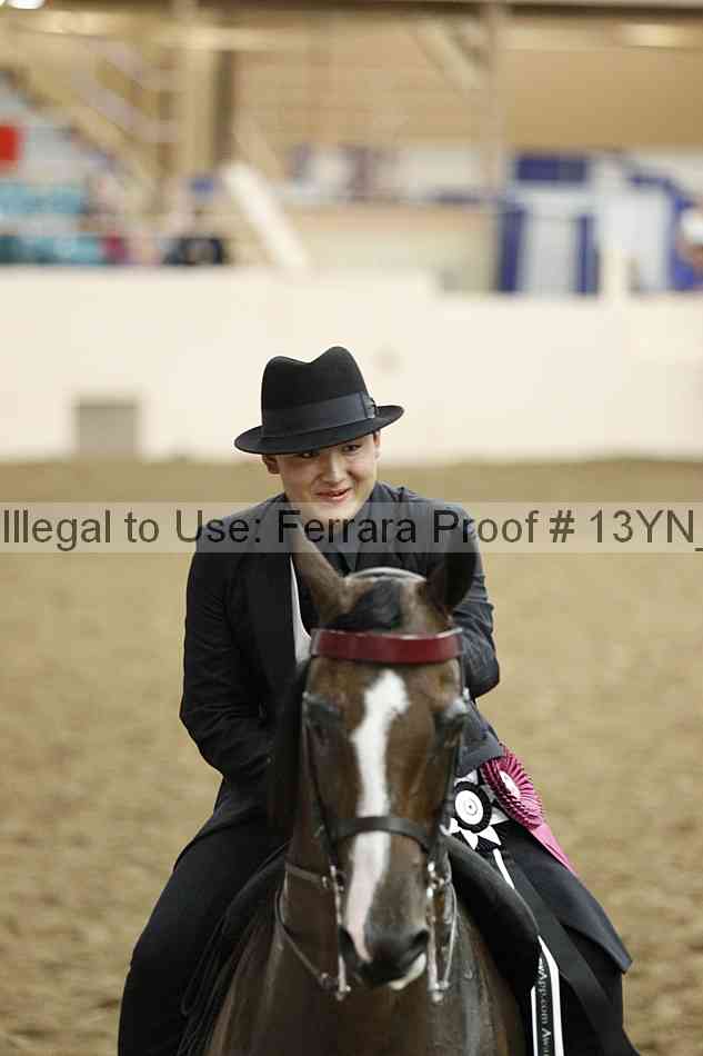 Proof 13yn_29141