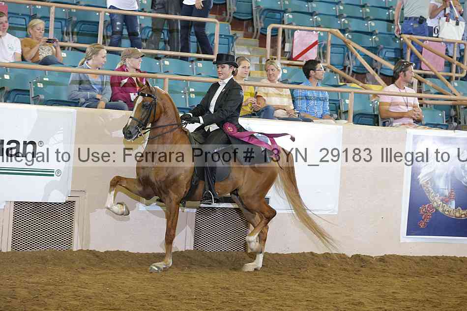 Proof 13yn_29183