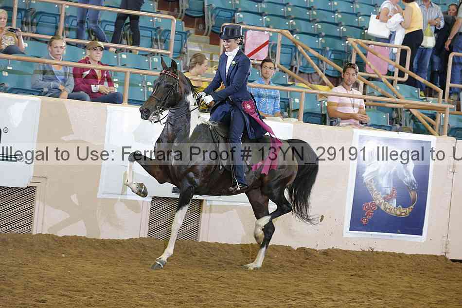 Proof 13yn_29191