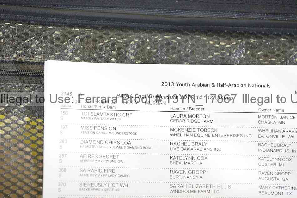 Proof 13yn_17867