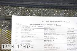 13yn_17867 proof