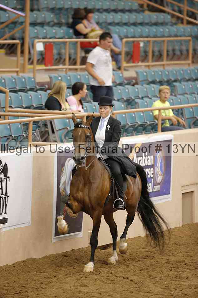 Proof 13yn_17892