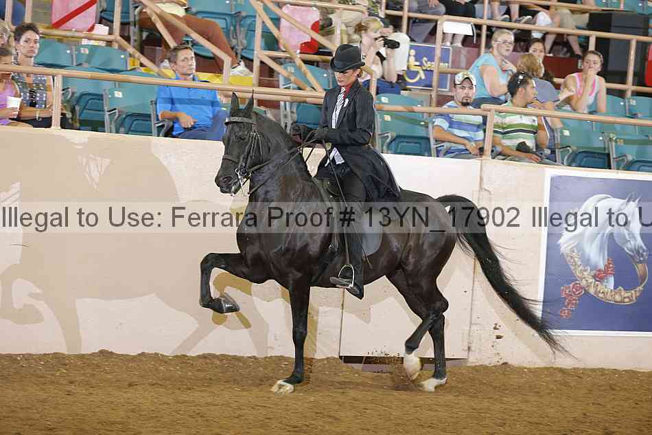 Proof 13yn_17902