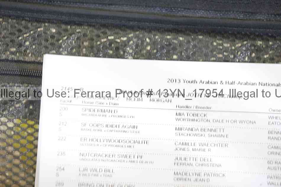 Proof 13yn_17954