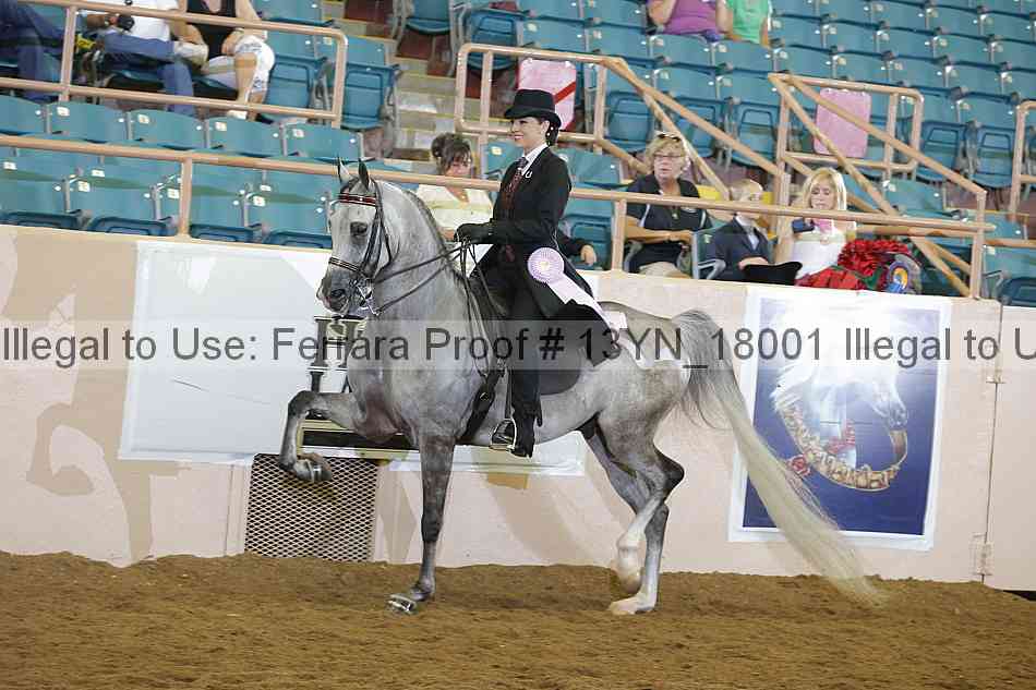 Proof 13yn_18001