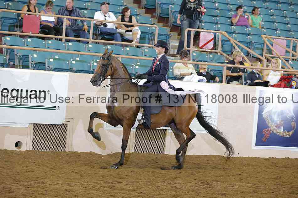 Proof 13yn_18008