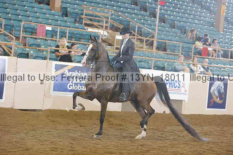 Proof 13yn_18011